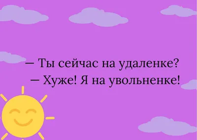 Смешные анекдоты – смотреть онлайн все 4 видео от Смешные анекдоты в  хорошем качестве на RUTUBE