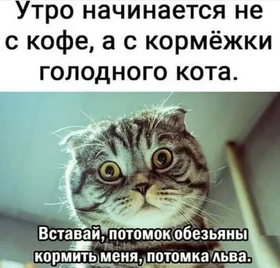 друзья жизнь ржать чай #кофе жизнь #юморкофешоп #кофешопюмор #юмор приколы  юмор смешные видео прикольные картинки смешные картинки угар подборка  приколов макс …