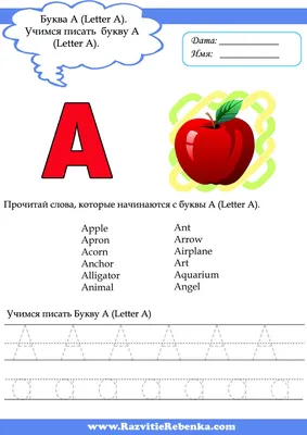 Контуры английских букв. Красивые трафареты буквы от a до z. Картинки букв.