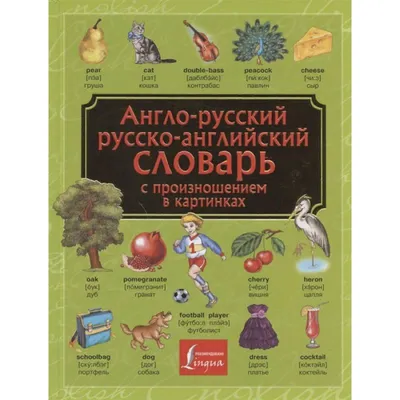 Англо-русский. Русско-английский словарь с произношением в картинках -  купить книгу Англо-русский. Русско-английский словарь с произношением в  картинках в Минске — Издательство АСТ на OZ.by