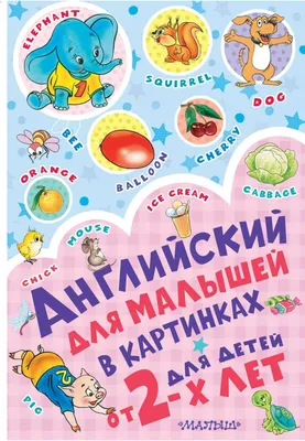 Русско-английский словарь в картинках с произношением. Русско-английский  словарик. Дмитриева В. Г. (6245425) - Купить по цене от 206.00 руб. |  Интернет магазин SIMA-LAND.RU