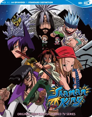 Anime Shaman King Poster Decoration Painting Canvas Art Print Picture Home  Wall Decoration 12×18inch(30×45cm) : Amazon.ca: Home