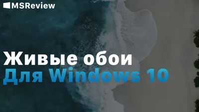 анимированные обои рабочего стола / смешные картинки и другие приколы:  комиксы, гиф анимация, видео, лучший интеллектуальный юмор.