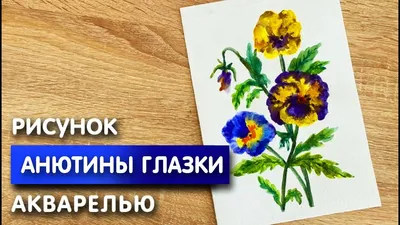 Цветы анютины глазки, виола