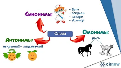 Подходит - не подходит. Игра-лото на антонимы. 5-7 лет - купить книгу с  доставкой в интернет-магазине «Читай-город».