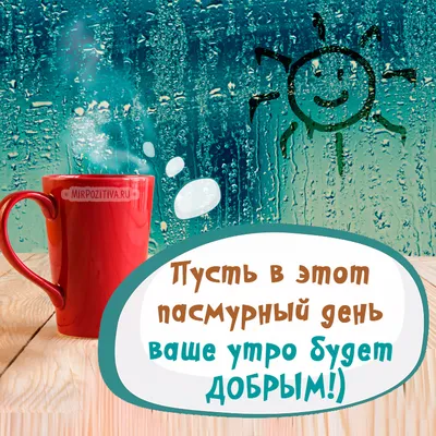 А НА ЗАВТРАК СЕГОДНЯ - ОЛАДУШКИ НА КЕФИРЕ. ПРИГЛАШАЮ!!! С ДОБРЫМ УТРОМ!!! |  ПРЕКРАСНОЕ РЯДОМ | Дзен