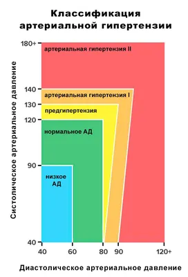 Артериальная гипертензия: болезнь 21-го века, лечение в Нижнем Новгороде |  ТОНУС ЛАЙФ