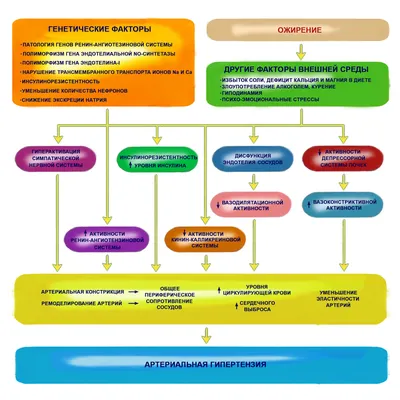 Артериальная гипертензия | Медицинский центр «Татмед»