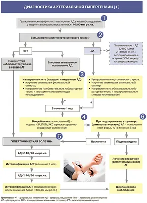 Механизмы развития артериальной гипертензии при ожирении -  bariatric.1spbgmu.ru