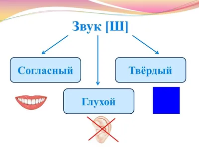 Постановка шипящих звуков: способы и приемы постановки шипящих звуков у  детей. Блог Лого-Эксперт