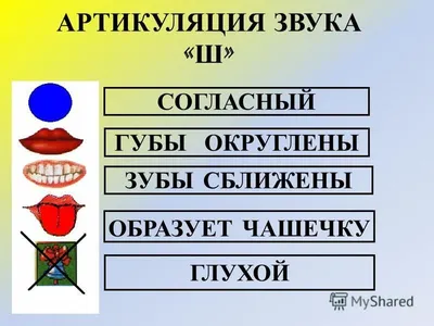 Логопедическое занятие в подготовительной группе \"Учимся различать звуки  [с] – [ш]\"