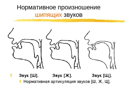 Постановка звука Ш: логопедические задания и упражнения. Блог Лого-Эксперт