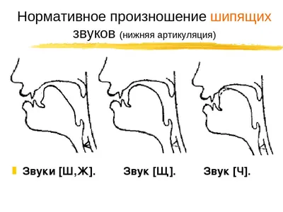 Постановка звука Ш: логопедические задания и упражнения. Блог Лого-Эксперт