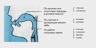 Индивидуальное занятие по автоматизации звука [Ш] в словах,  словосочетаниях, предложениях с помощью грамматических ступенек (2 фото).  Воспитателям детских садов, школьным учителям и педагогам - Маам.ру