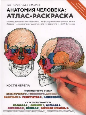 Профилактика кожных заболеваний