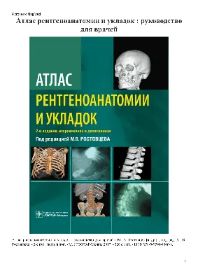 Себорейный дерматит: причины возникновения, виды и лечение