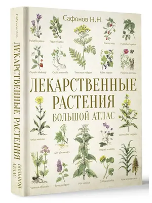 Массаж и кожные заболевания: что ещё необходимо знать? | Массаж.ру