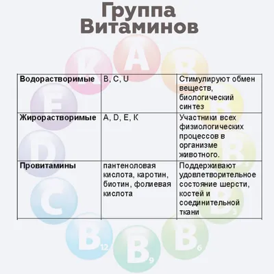 Авитаминоз | 15.04.2022 | Новости Улан-Удэ - БезФормата