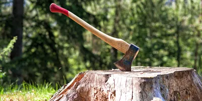 Helko Werk Traditional Black Forest Woodworker Axe