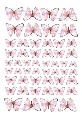 [77+] Бабочки картинки для печати обои