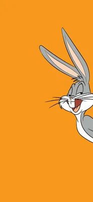 200+] Bugs Bunny Wallpapers | Wallpapers.com