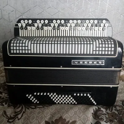 ROLAND FR-1XB Black - Компактный и легкий баян V-Accordion с большими  возможностями купить в магазине для музыкантов Рок-н-Ролл