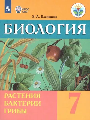 Пепидол ПЭГ 3% раствор (для детей) 100мл: цена, купить, инструкция по  применению Элюсан НПЦ ООО (Россия) в аптеке Радуга