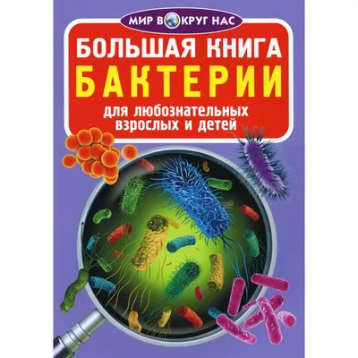 Бактерии Головки С Детей — стоковая векторная графика и другие изображения  на тему Антибиотик - Антибиотик, Антисанитарный, Бактерия - iStock