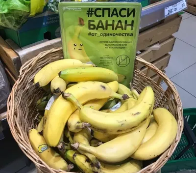 Фигурка акриловая статуэтка мем кот банан banana cat - купить с доставкой  по выгодным ценам в интернет-магазине OZON (1284831453)