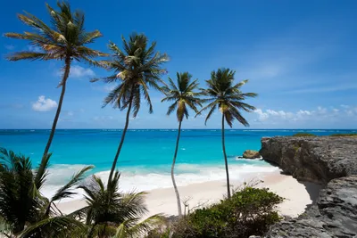 Visit Barbados: 2024 Travel Guide for Barbados, Caribbean | Expedia