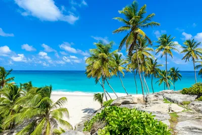 Visiting Barbados: Pros and Cons – WeLeaveToday