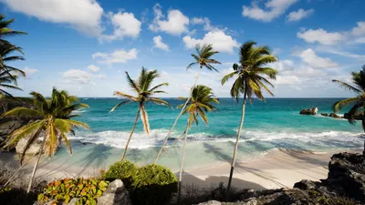 Barbados Vacation Rentals | Villa and House Rentals | Airbnb