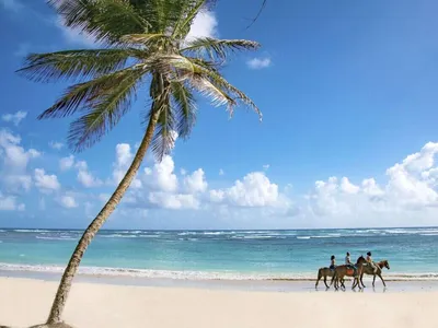 Best Time to Visit Barbados | Climate Guide | Audley Travel UK