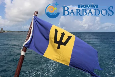 East vs West Coast Barbados: Why It Doesn't Matter Which Coast You Book -  Caribbean Warehouse