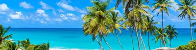 Barbados travel - Lonely Planet | Caribbean