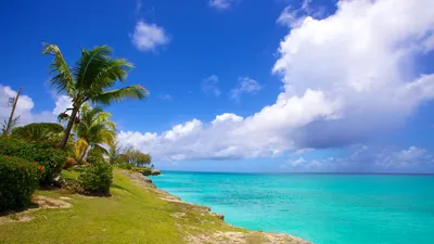 Visit Barbados: 2024 Travel Guide for Barbados, Caribbean | Expedia