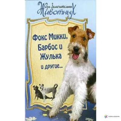 Урок по литературному чтению для 3 класса А.И. Куприн «Барбос и Жулька».