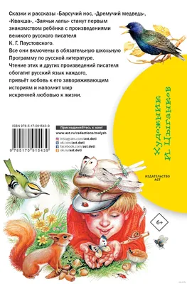 Барсучий нос. Сказки и рассказы. К. Паустовский купить по низким ценам в  интернет-магазине Uzum (578567)