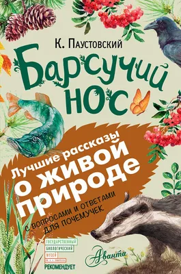 Книга Барсучий нос. Сказки и рассказы - купить в ИП Зинин, цена на  Мегамаркет