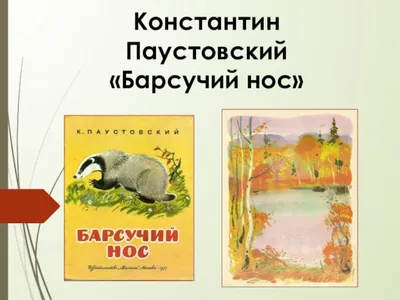 Барсучий нос. Сказки и рассказы. К. Паустовский купить по низким ценам в  интернет-магазине Uzum (578567)