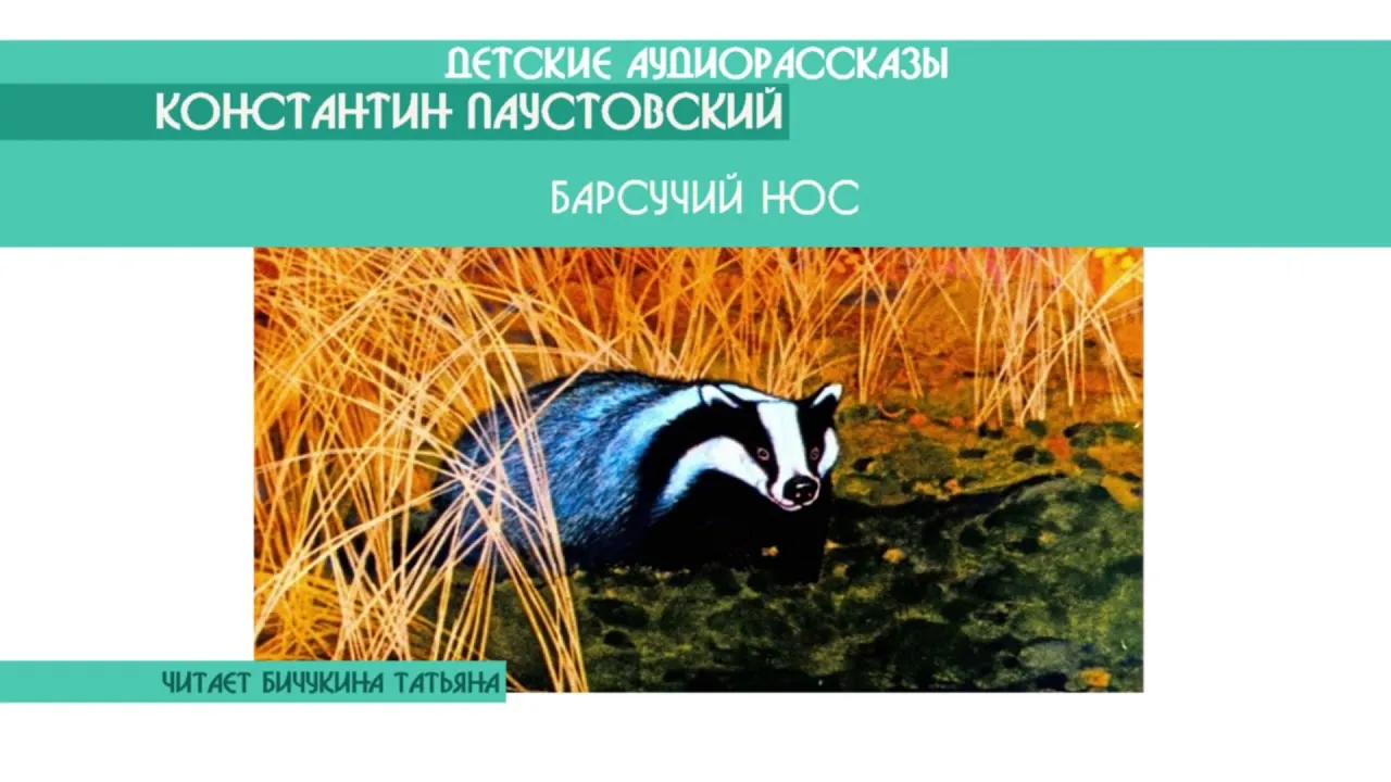 Краткое содержание паустовский барсучий. Рассказ барсучий нос. К. Паустовский "барсучий нос". Сказка Паустовского барсучий нос.