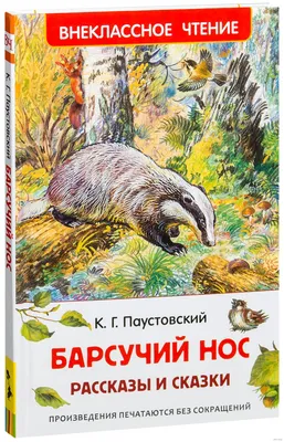 Книга Барсучий нос. Сказки и рассказы - купить в ИП Зинин, цена на  Мегамаркет