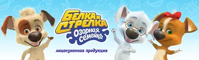 Белка и Стрелка. Озорная семейка. Выпуск 1-3, 3 DVD - купить с доставкой по  выгодным ценам в интернет-магазине OZON (568441356)