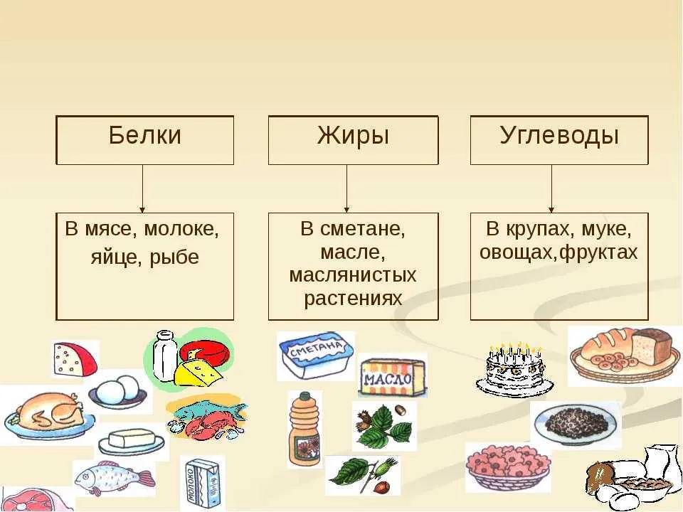 Белки жиры и углеводы для человека. Состав белков жиров и углеводов кратко. Пища с белками и углеводами. Продукты богатые углеводами жирами и белками. Жиры и углеводы.