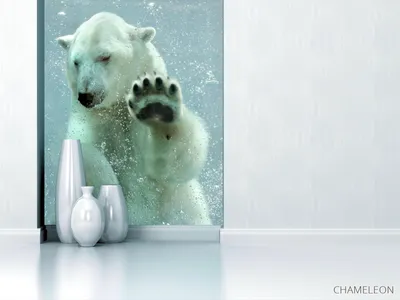 Белый медведь стоковое изображение. изображение насчитывающей снежок -  29557571