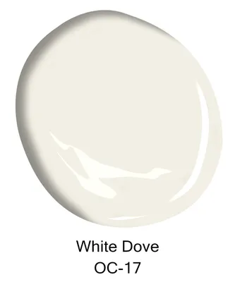 What Colors Make White? (Everything You Need to Know)