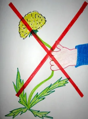 Берегите растения детский рисунок (53 фото) » рисунки для срисовки на  Газ-квас.ком