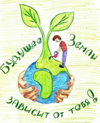 Плакат берегите растения раскраска - 29 фото