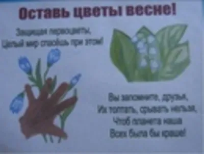 Плакат для срисовки берегите растения (31 шт)