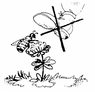 Рисунок-берегите растения. Как нарисовать. | Волшебные рисунки | Дзен